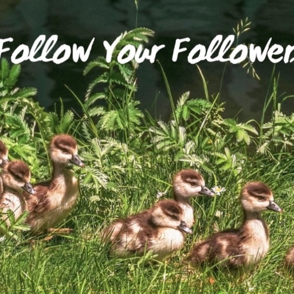 BUNDLE 4+GET 20% DISCOUNT AUTOMATICALLY - Picture 6 of 7